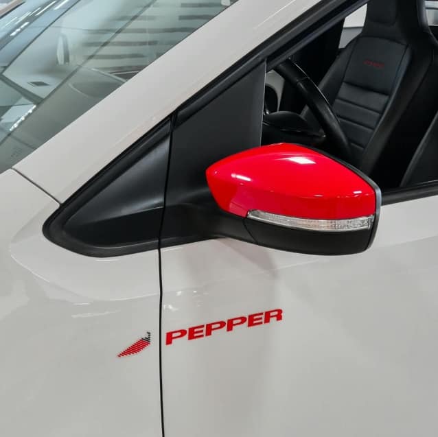 Volkswagen UP 1.0 TSI PEPPER 12V FLEX 4P MANUAL 2018/2019