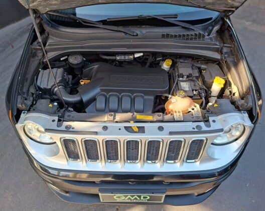 Jeep Renegade Limited 1.8 (Aut) (Flex)