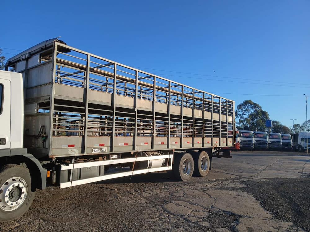 TRIEL-HT CARROCERIA METÁLICA TRANSP. SUÍNOS