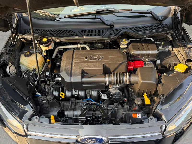 Ford Ecosport 2.0 16v Titanium Flex Powershift 5p