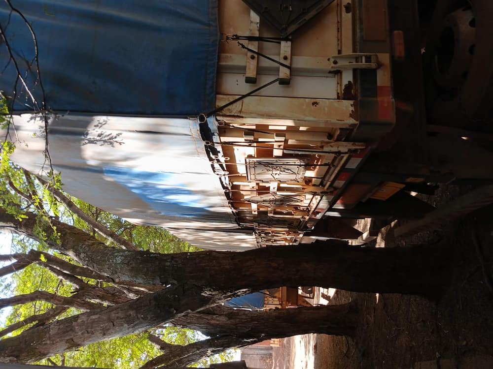 TRUCKVAN SR GRANELEIRO 4E 1+3