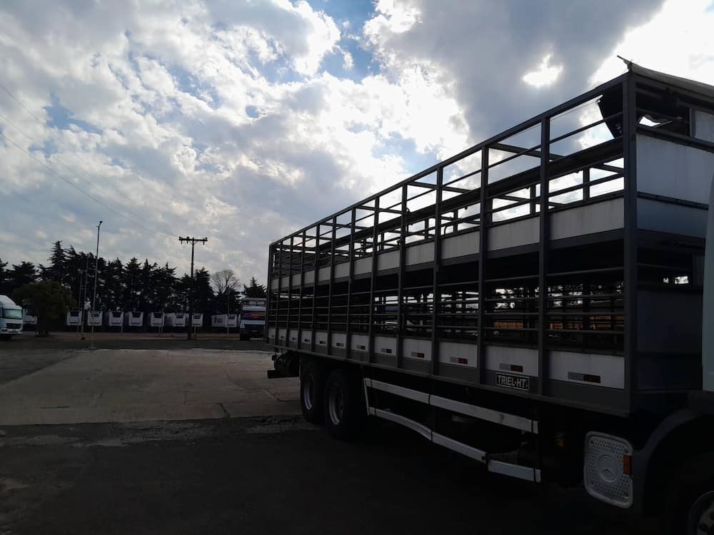 TRIEL-HT CARROCERIA METÁLICA TRANSP. SUÍNOS