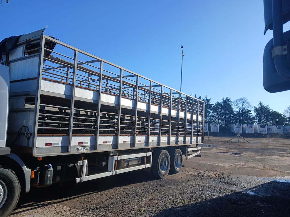TRIEL-HT CARROCERIA METÁLICA TRANSP. SUÍNOS
