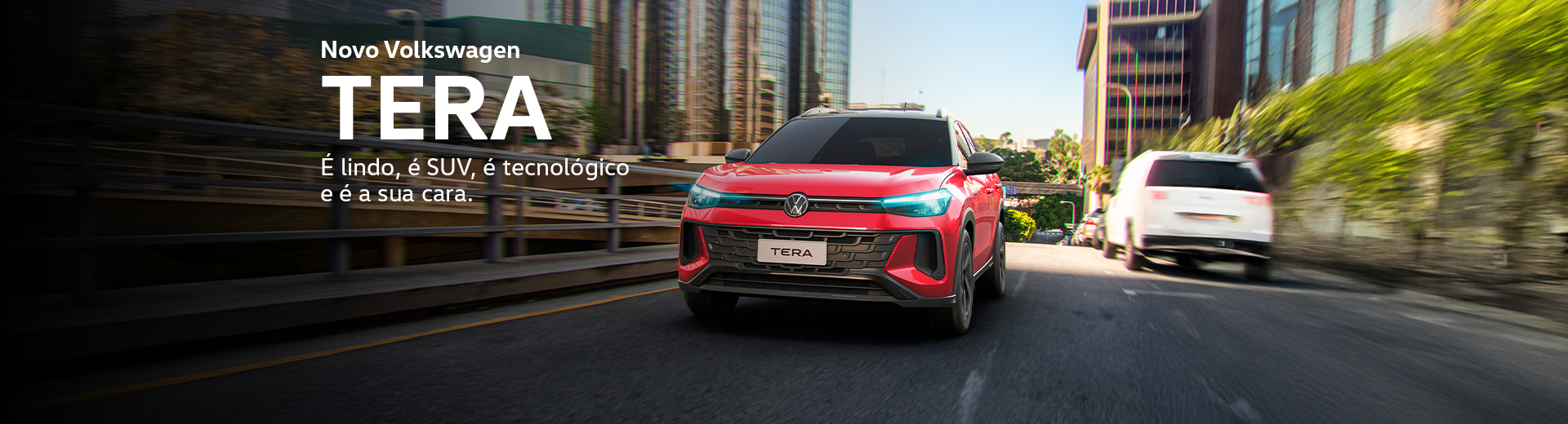 Volkswagen Tera