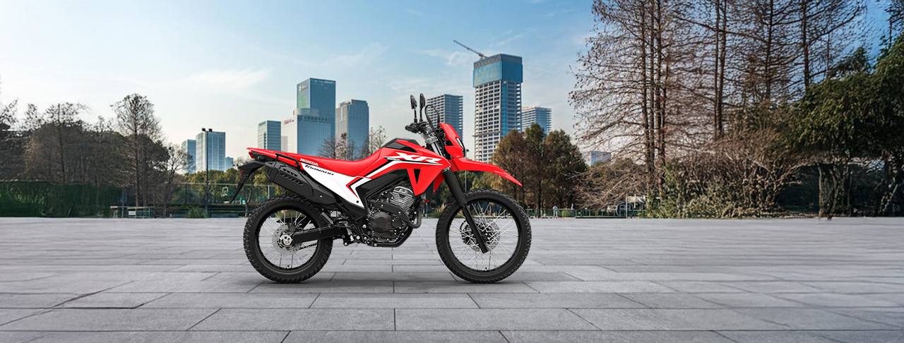 Honda XR 300L Tornado
