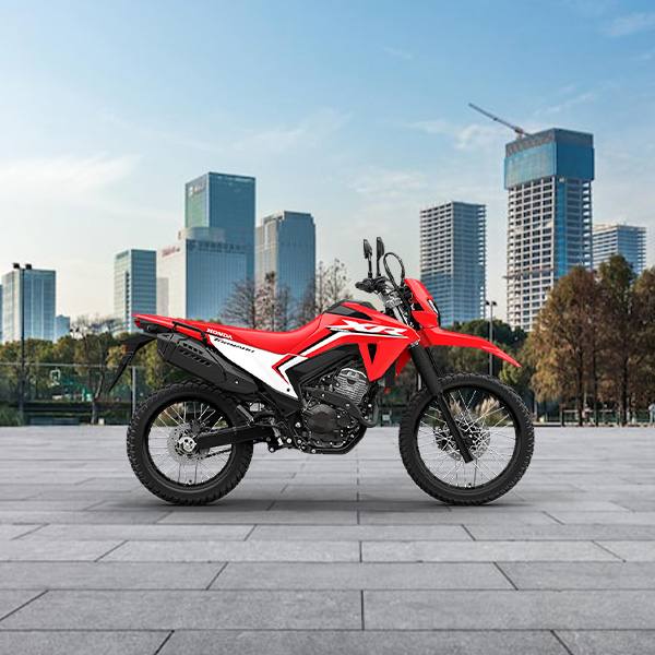 Honda XR 300L Tornado
