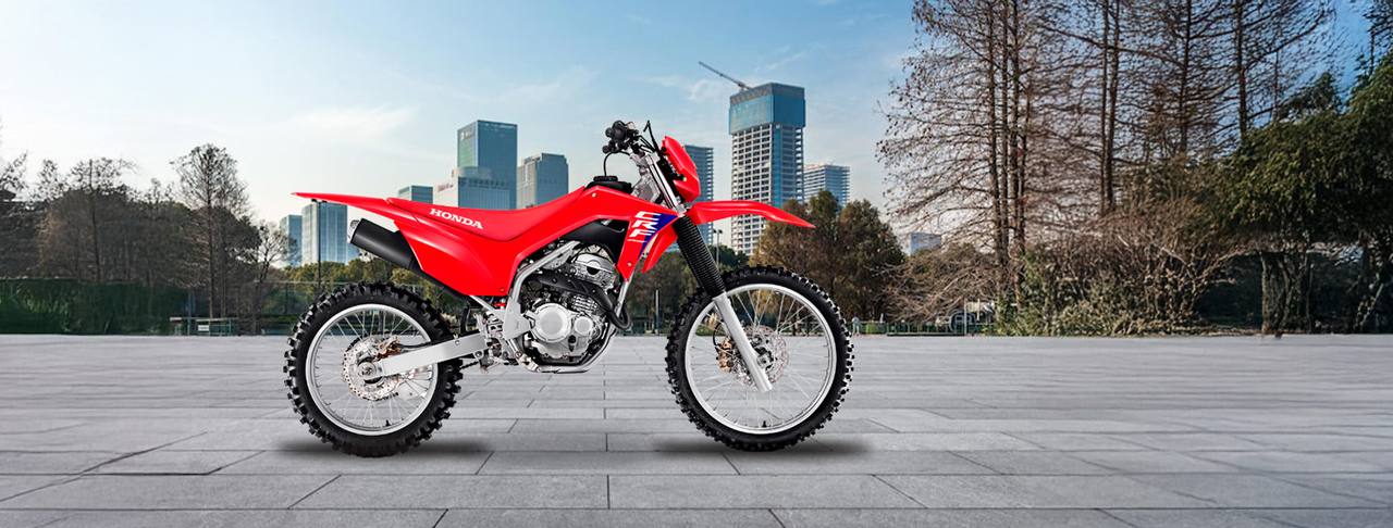 Honda CRF 300F
