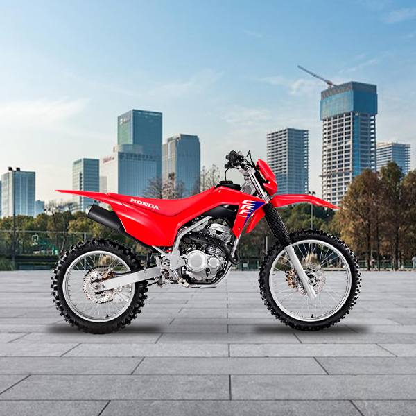 Honda CRF 300F