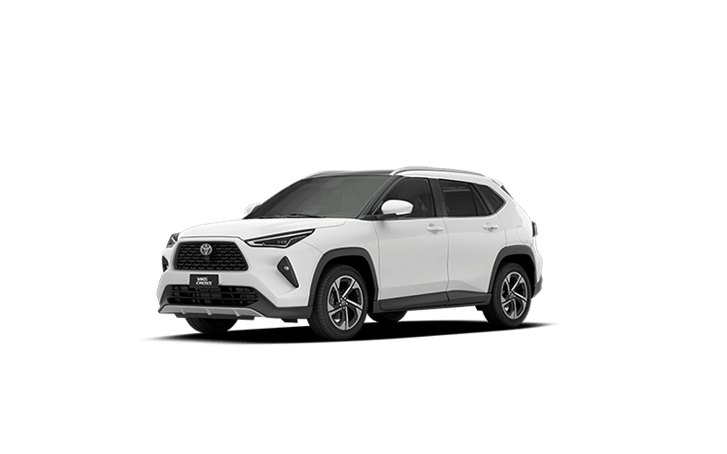 XRX Hybrid