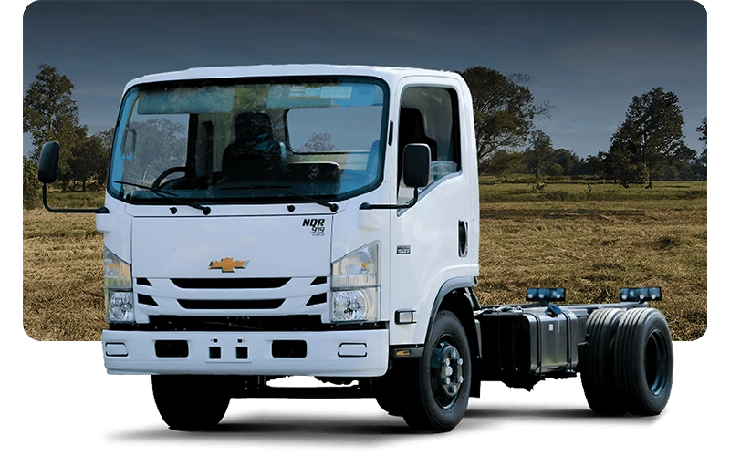 NQR 919