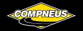 COMPNEUS